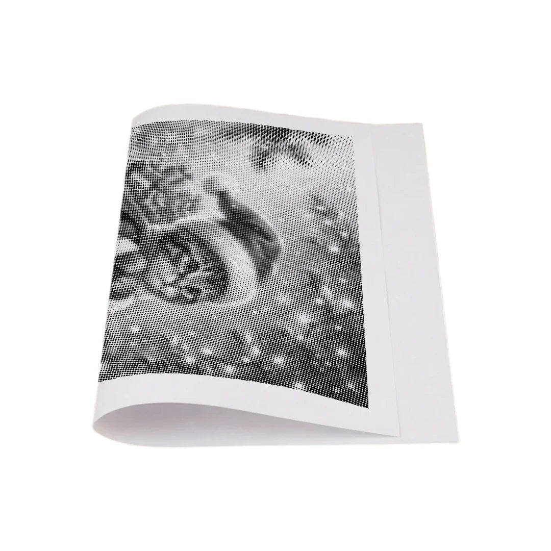 Kobiety z Wilkiem Punktowe Malowanie ➤ Wysyłka Następnego Dnia ✅ | Najwyższa Jakość