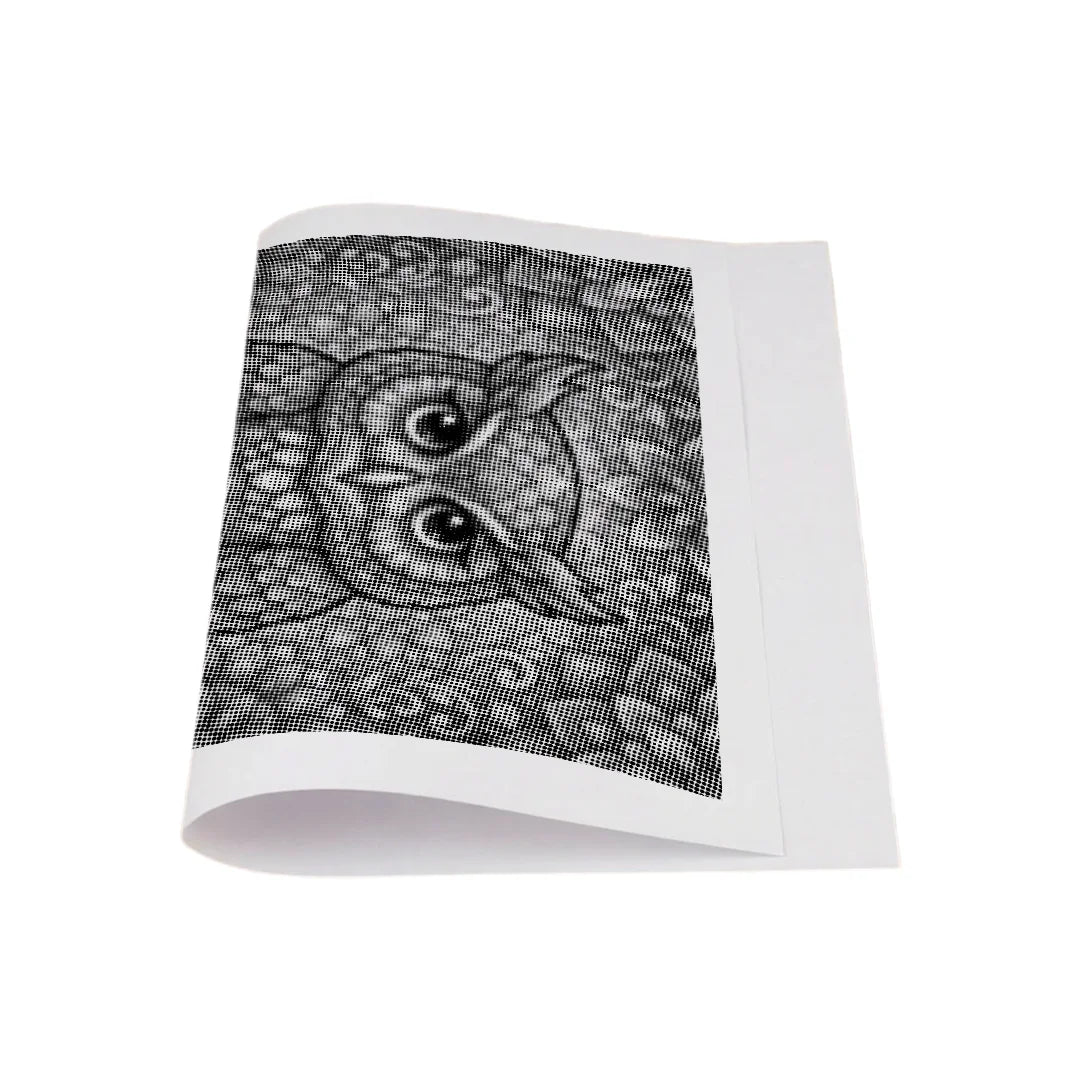 Kobiety z Wilkiem Punktowe Malowanie ➤ Wysyłka Następnego Dnia ✅ | Najwyższa Jakość