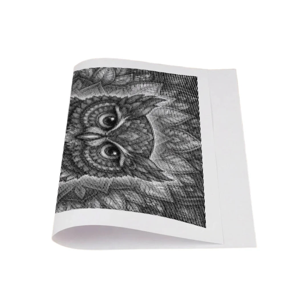 Kobiety z Wilkiem Punktowe Malowanie ➤ Wysyłka Następnego Dnia ✅ | Najwyższa Jakość