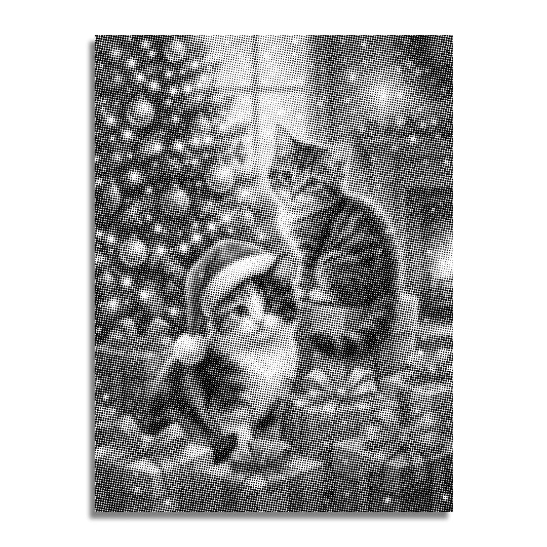 Kobiety z Wilkiem Punktowe Malowanie ➤ Wysyłka Następnego Dnia ✅ | Najwyższa Jakość