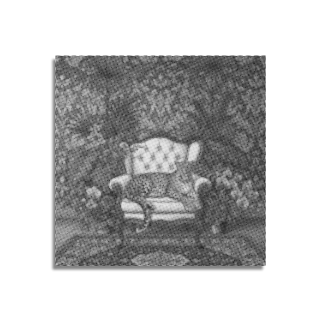 Kobiety z Wilkiem Punktowe Malowanie ➤ Wysyłka Następnego Dnia ✅ | Najwyższa Jakość