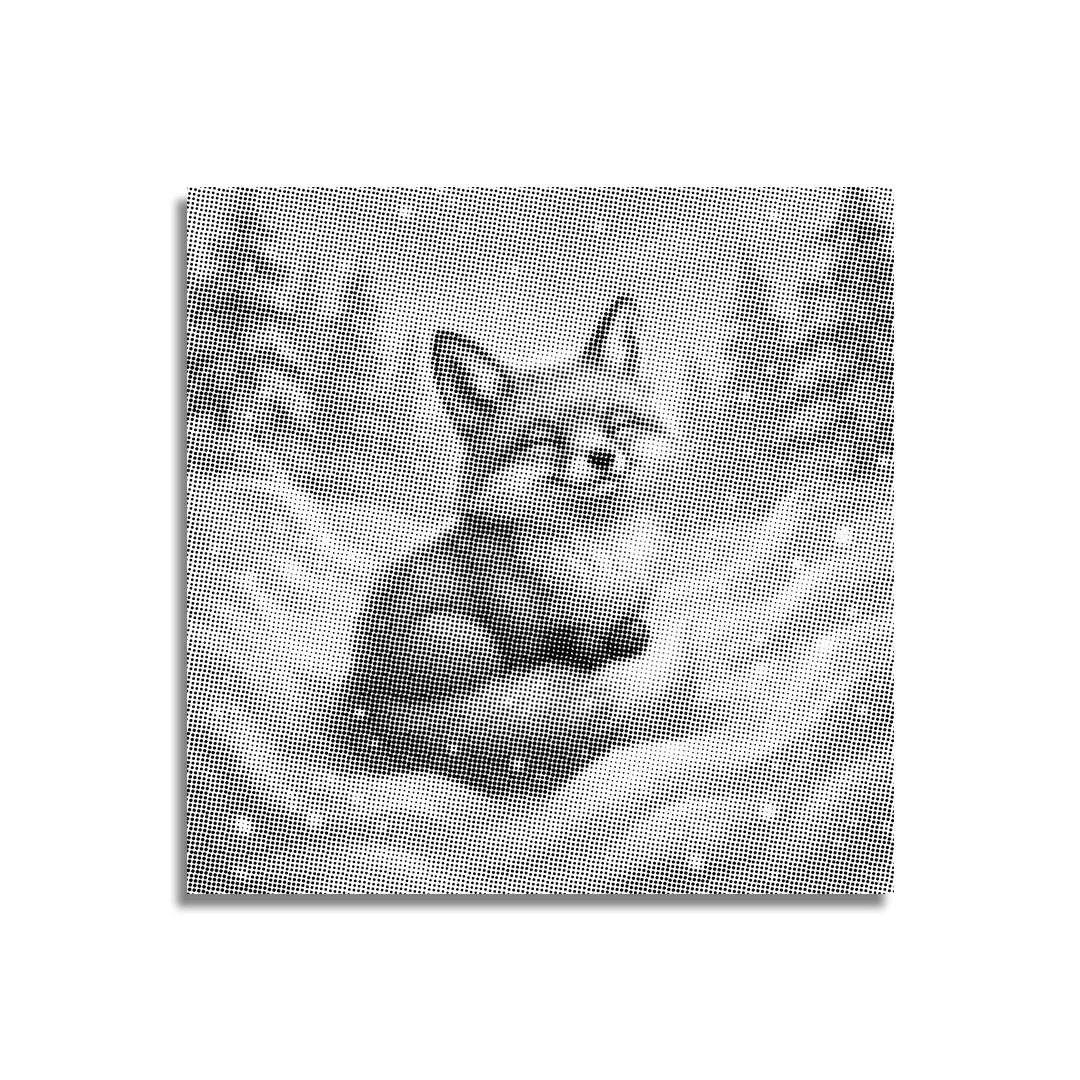 Kobiety z Wilkiem Punktowe Malowanie ➤ Wysyłka Następnego Dnia ✅ | Najwyższa Jakość