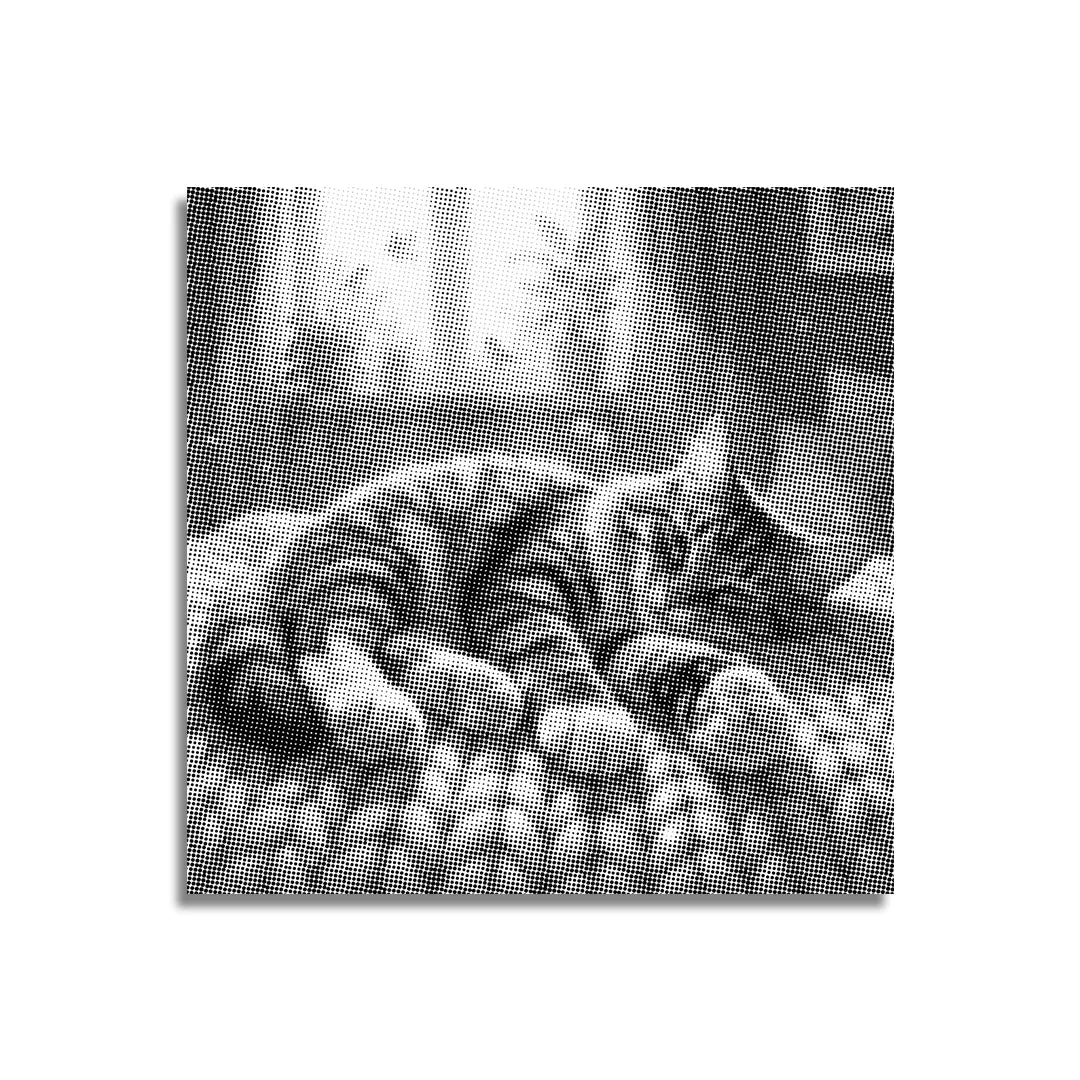 Kobiety z Wilkiem Punktowe Malowanie ➤ Wysyłka Następnego Dnia ✅ | Najwyższa Jakość