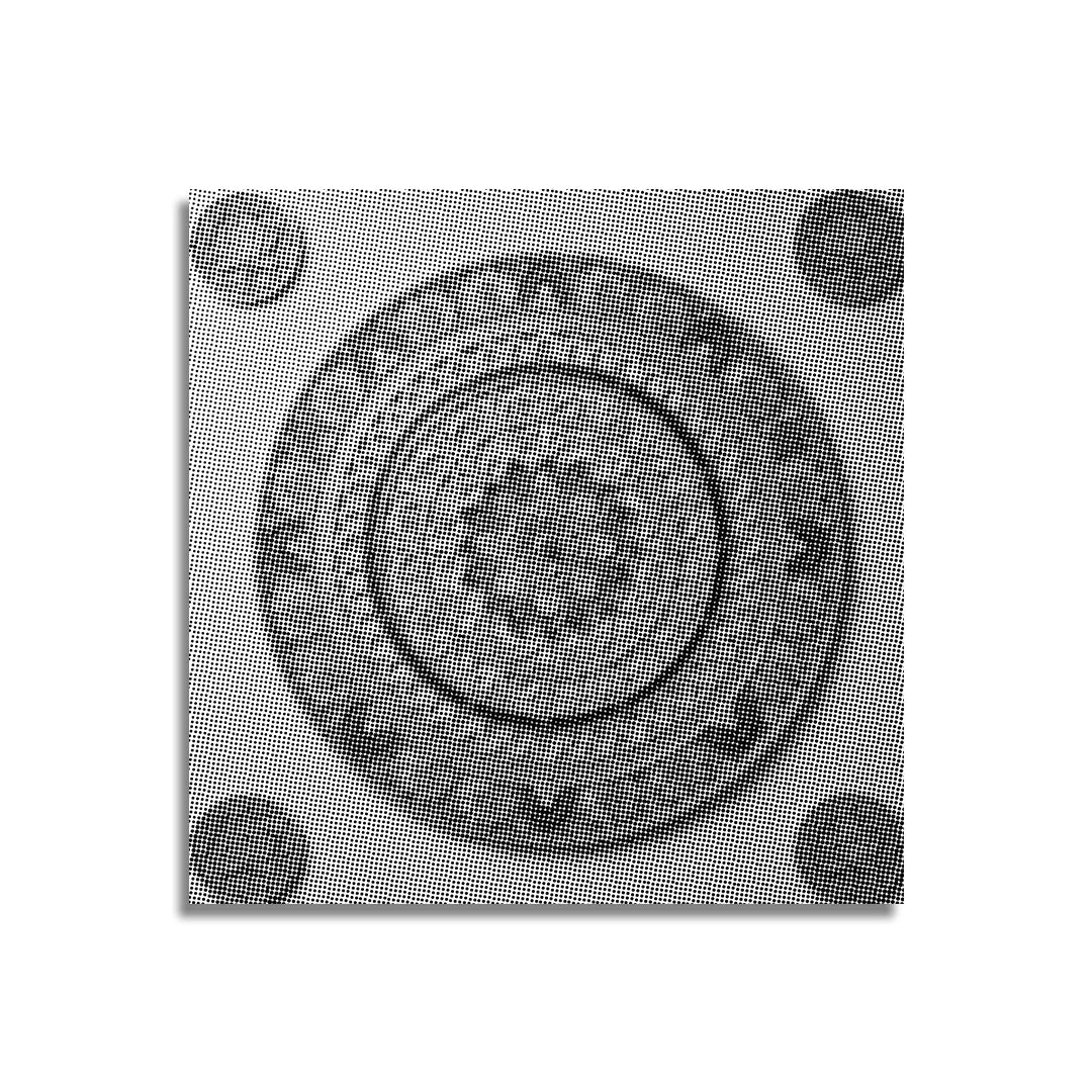 Kobiety z Wilkiem Punktowe Malowanie ➤ Wysyłka Następnego Dnia ✅ | Najwyższa Jakość