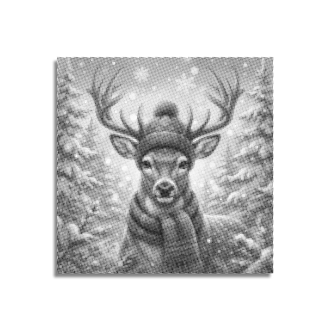 Kobiety z Wilkiem Punktowe Malowanie ➤ Wysyłka Następnego Dnia ✅ | Najwyższa Jakość