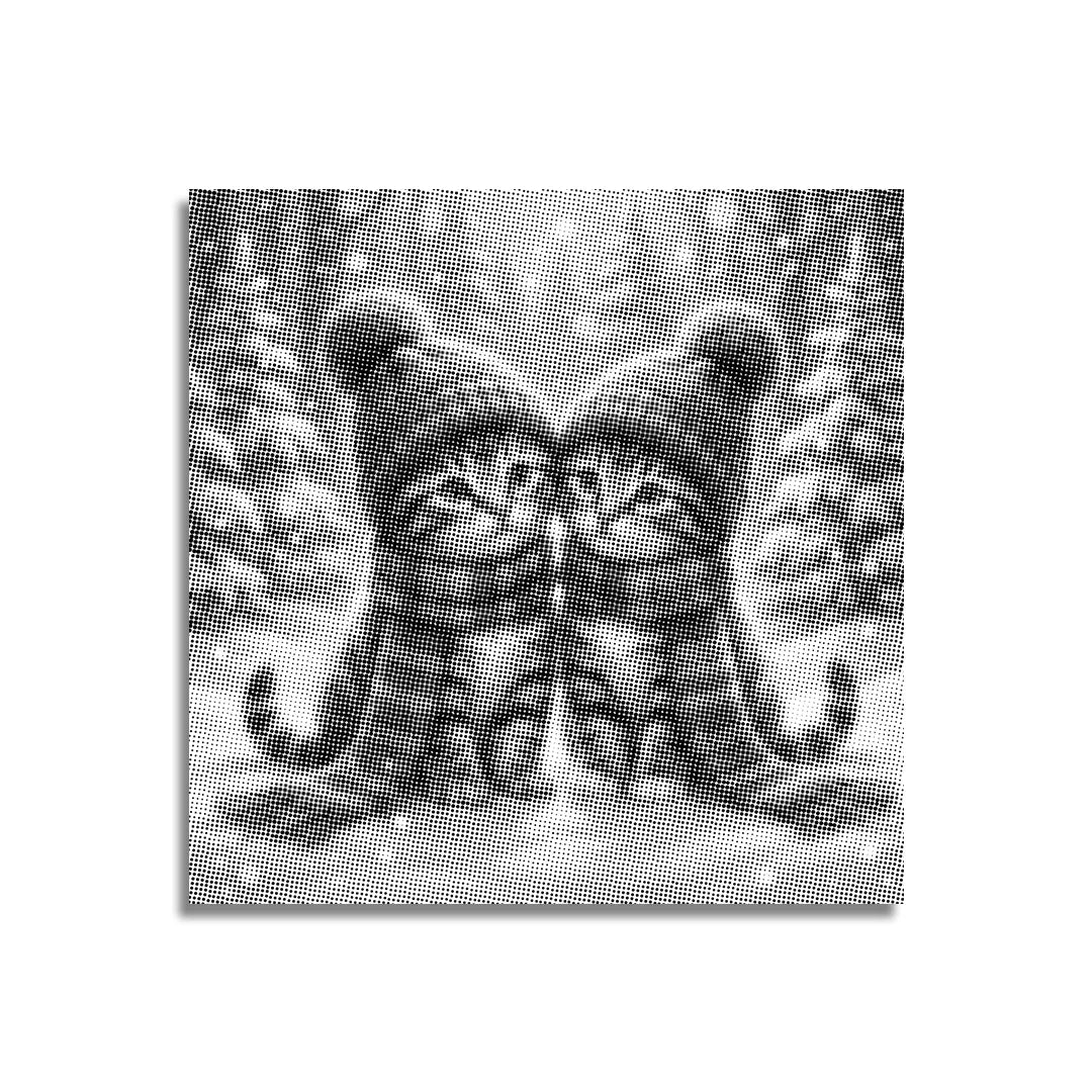 Kobiety z Wilkiem Punktowe Malowanie ➤ Wysyłka Następnego Dnia ✅ | Najwyższa Jakość