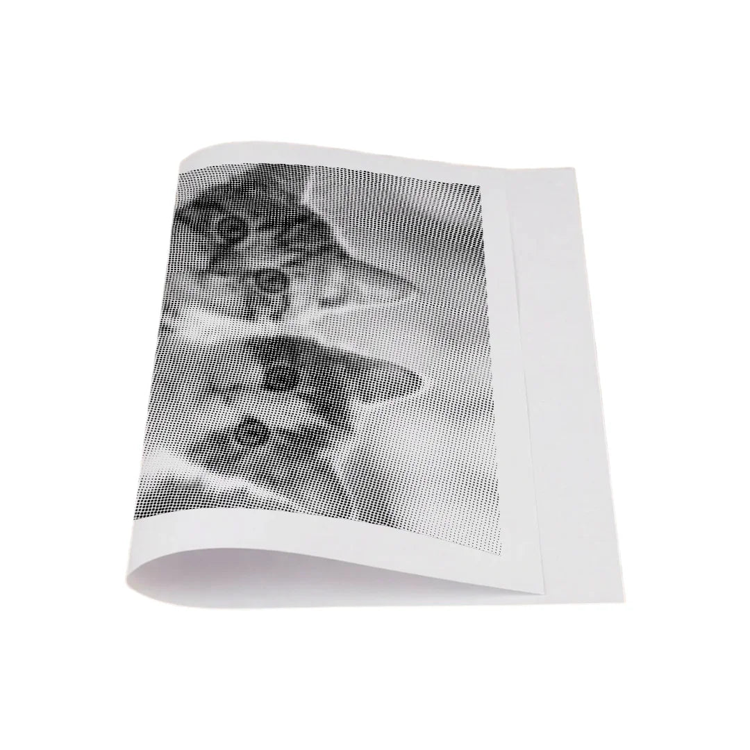 Kittens Dot Painting