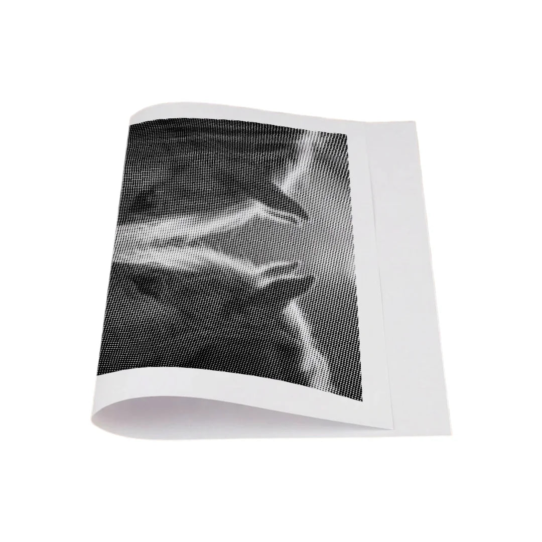 Two Horses Dot Painting