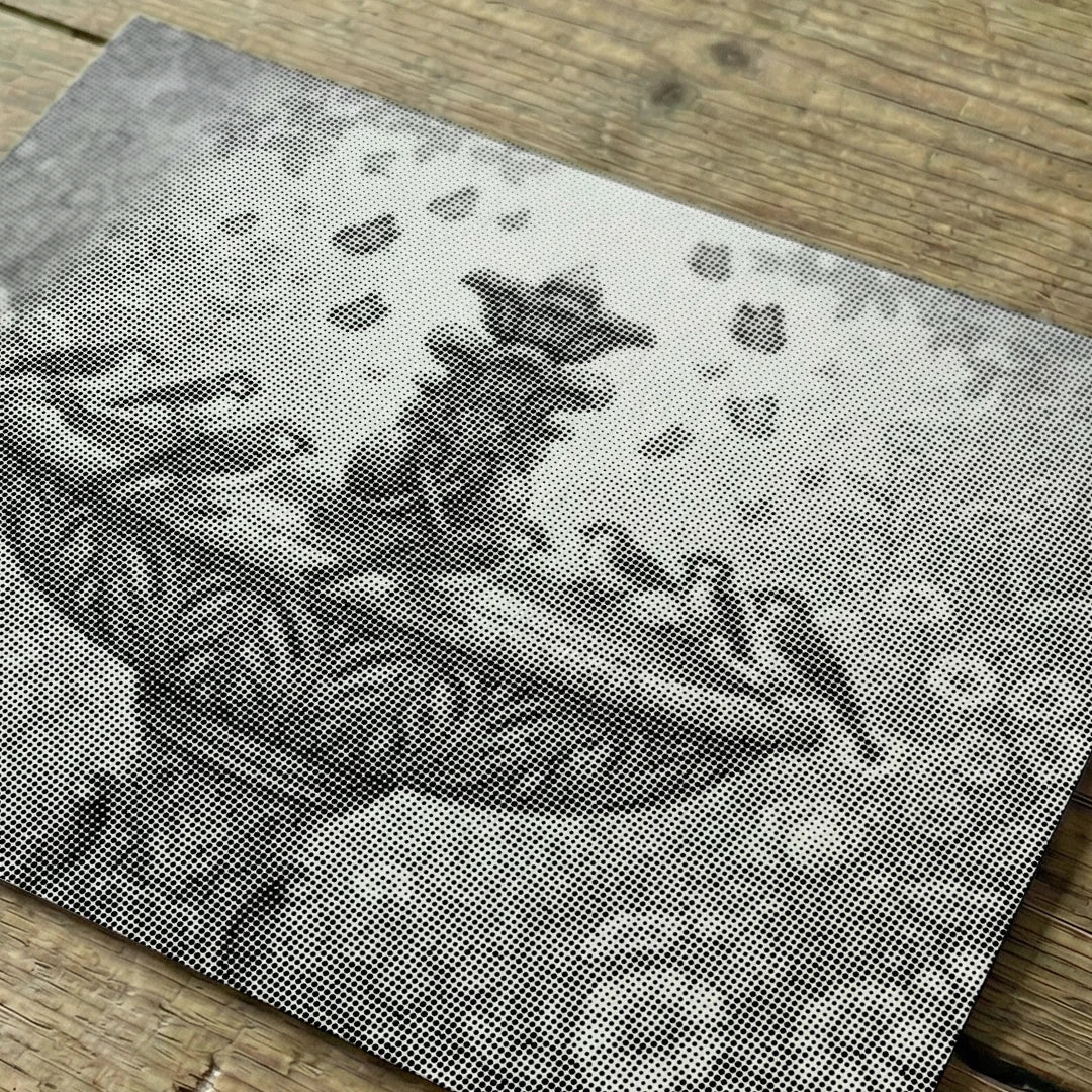 Ptaki przy fontannie Malowanie kropkami