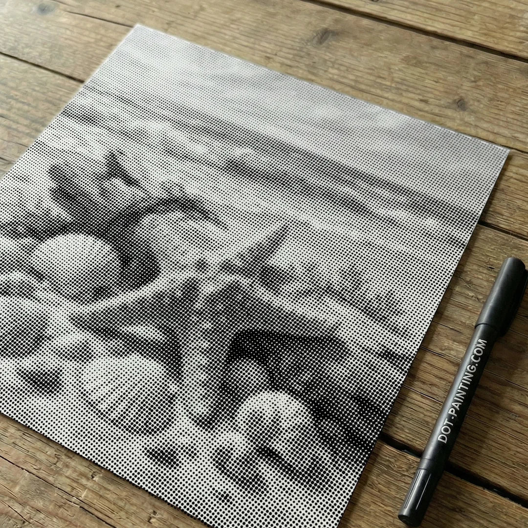 Muszle na plaży w kropki